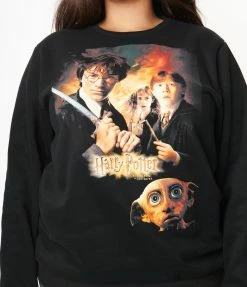 Fan Flair Cakeworthy Plus Size Harry Potter Chamber Of Secrets Unisex Sweatshirt