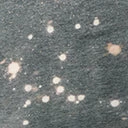 Wandering Owl Designs Soul Searching Skull Bleached Fitted Graphic Tee Sale