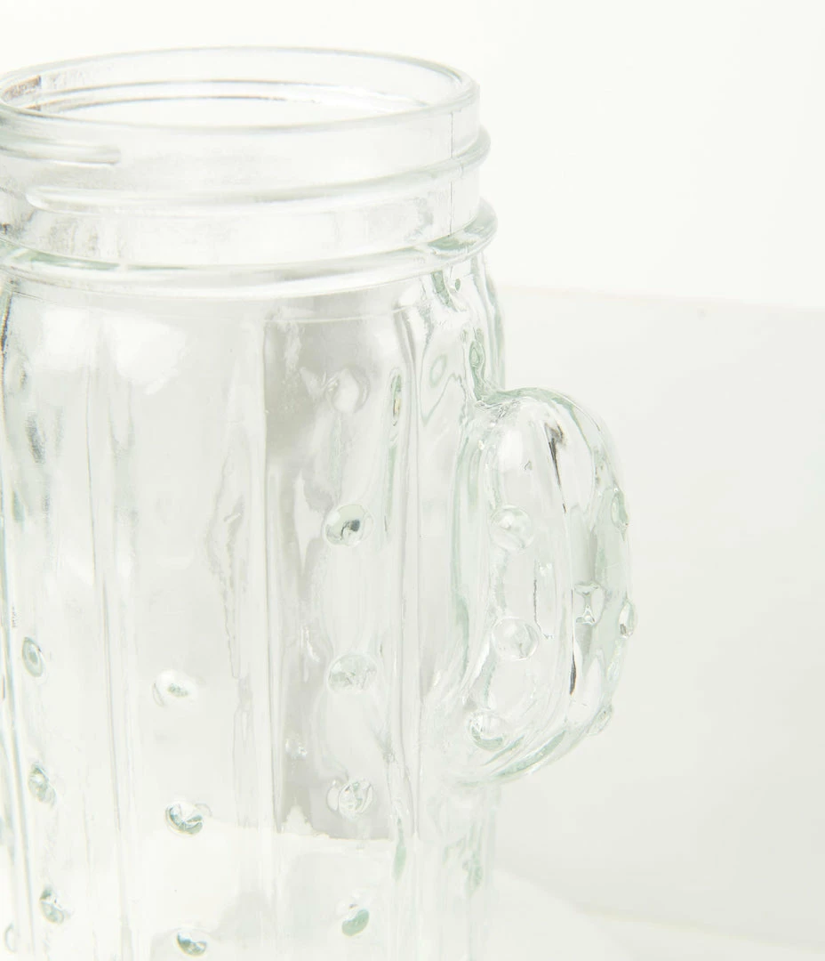 Faire (Weddingstar Inc.) Glass Cactus Mason Jar Cup