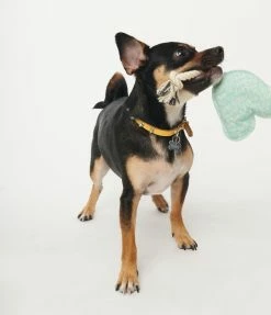 Finelines (ORE) Sale Rainbow Rope Dog Toy