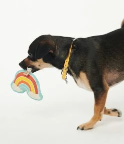 Finelines (ORE) Sale Rainbow Rope Dog Toy