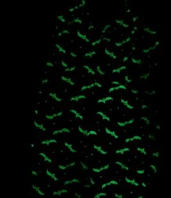 Clothing Unique Vintage Black & Glow In The Dark Bat Print Marcel Jumpsuit