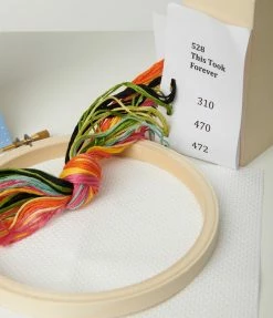 Finelines (The Stranded Stitch) Sale This Took Forever Cross Stitch Kit