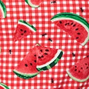 Retrolicious Pink Watermelon Gingham Flare Skirt