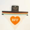 Chronicle Books Sale BFF Love Dog Bandana