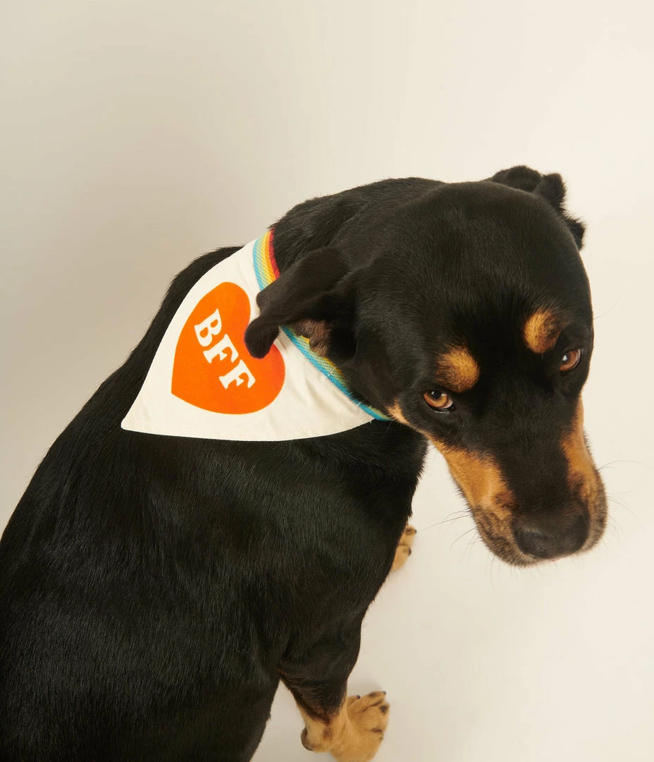 Chronicle Books Sale BFF Love Dog Bandana
