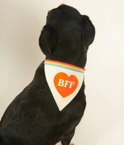 Chronicle Books Sale BFF Love Dog Bandana