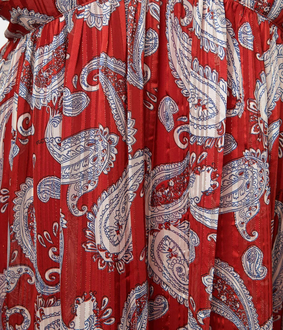 Trending Unique Vintage Plus Size Burgundy Paisley Buttercup Maxi Dress