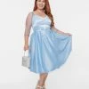 Unique Vintage Plus Size Blue & Silver Snowflake Lamar Swing Dress