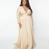 May Queen Inc. Wedding Plus Size Champagne Long Sleeve Sophisticated Goddess Gown