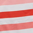 Joia Think Pink Striped 2 In 1 Towel Tote Bag