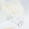 Arkansas Valley Feathers (Zucker Feathers) Flapper Vintage Style Ivory Marabou Feather Fan