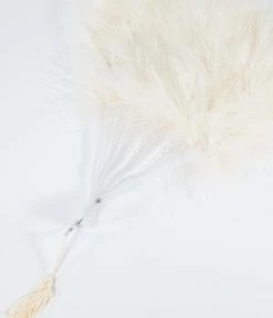 Arkansas Valley Feathers (Zucker Feathers) Flapper Vintage Style Ivory Marabou Feather Fan